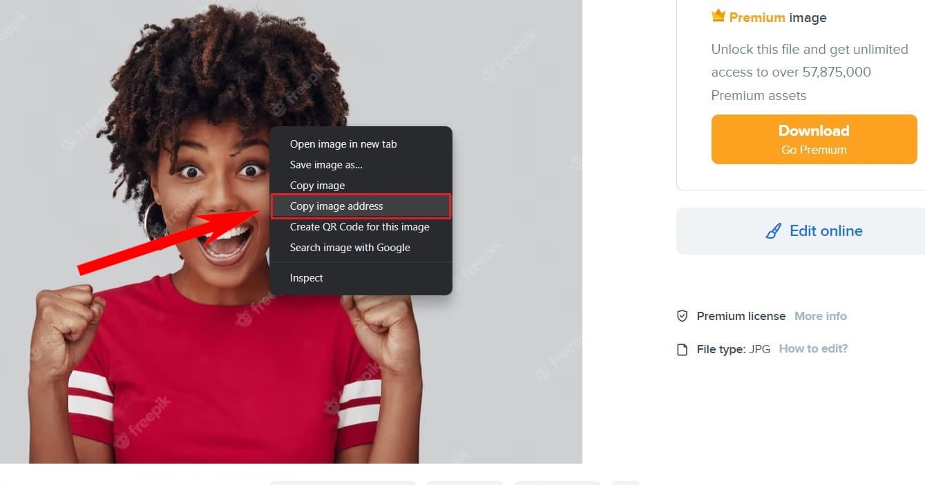 Screenshot on how to download